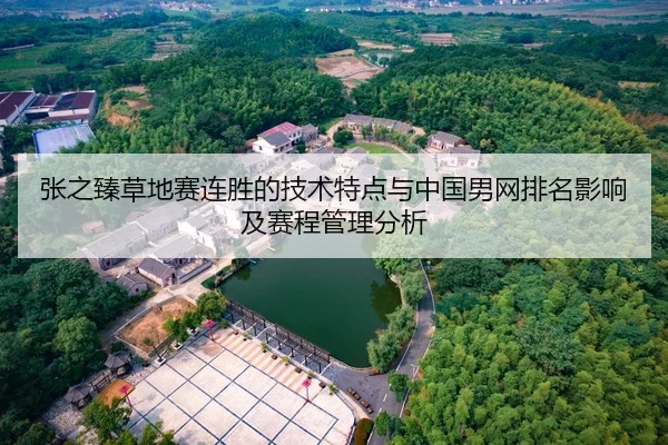 张之臻草地赛连胜的技术特点与中国男网排名影响及赛程管理分析