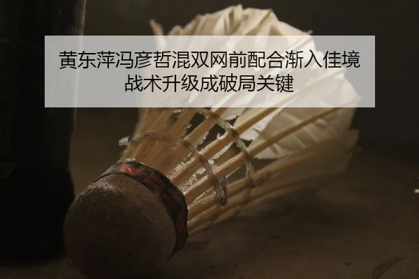 黄东萍冯彦哲混双网前配合渐入佳境 战术升级成破局关键